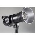 FLASH PROFESSIONALE FLASH TRIOPO F3-500W CON CONTROLLO 