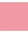 INFERIORE SUPERIORE 612 2,75X11 GAROFANO ROSA (A-17)