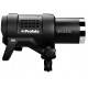 Buy Profoto Flash D2 Air TTL 1000W