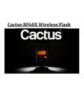 CACTUS FLASH UNIVERSAL INALAMBRICO RF60X