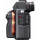 Buy Sony Alpha A7S II Body Online