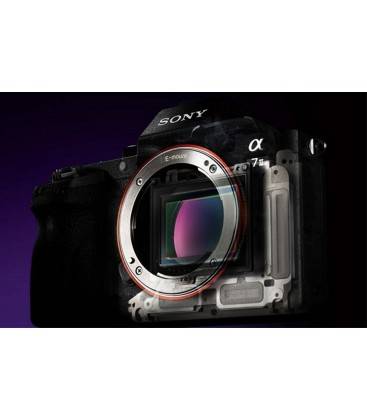 Sony Alpha A7S Ii Gehäuse online kaufen