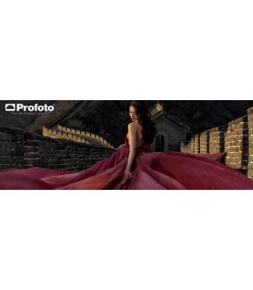 Profoto Rfi Pannello a Nido d'Ape (Softgrid) 50 5 Octa (150)