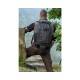 Buy Rollei Outdoor Backpack 45 L Online