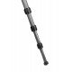 Manfrotto Element Traveller Small Carbon with Ball Head Mkeles5Cf-Bh