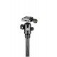 Manfrotto Element Traveller Small Carbon with Ball Head Mkeles5Cf-Bh