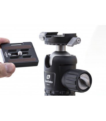 Buy Leofoto Ln-284Ct + Nb-40 Tripod Kit
