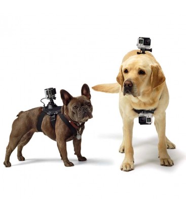 GOPRO FETCH (HUNDEGESCHIRR)