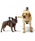 GOPRO FETCH (HARNAIS POUR CHIEN)