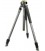 VANGUARD ALTA PRO 2V 263CT - CARBONO