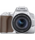 CANON EOS 250D+18-55 IS STM ARGENTO