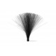 LIGHTPAINTING P BLACK OPTICAL FIBER BRUSH