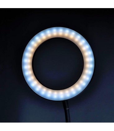 DÖRR LED RING SLR-16 BICOLOR
