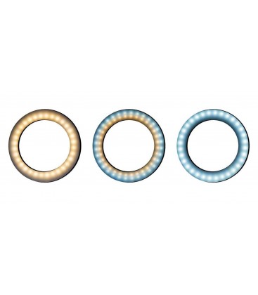 DÖRR LED RING SLR-16 BICOLOR