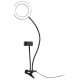 DÖRR SLR-16 bague LED BICOLOR
