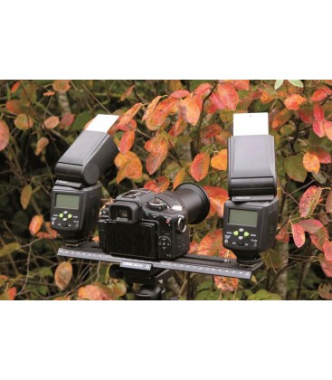 RAIL MACRO FOCUS DÖRR MS-310 (BASE + MICRO-PLAQUE)