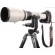 Canon EF 800mm f/5.6L IS USM Pro Partner
