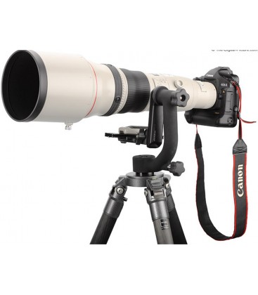Canon EF 800mm f/5.6L IS USM Pro Partner