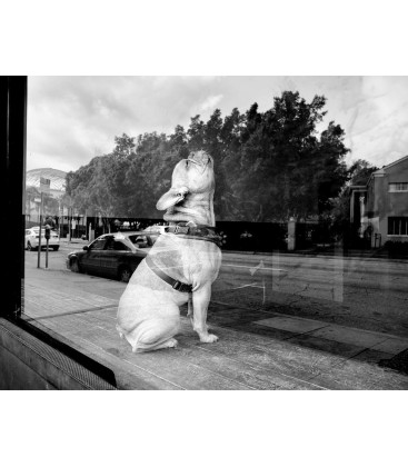 LEICA M10 MONOCHROM CAMARA 40 MP EN BLANCO Y NEGRO