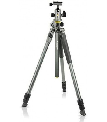 VANGUARD TRIPODE ALTA PRO 2+ 263AP