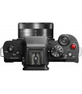 PANASONIC LUMIX G100VEC-K + GRIP/TRIPODE DMW-SHGR1E