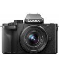 PANASONIC LUMIX G100 + G VARIO 12-32MM F/3.5-5.6 ASPH. + GRIP