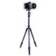 TRÉPIED CARBONE VANGUARD VESTA TB 204CB
