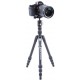 TREPPIEDE VANGUARD VESTA TB 204ABS CON TESTA A SFERA T-46