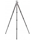 BENRO TRIPODE KIT TORTISE 24C CARBONO + GX30