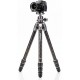 BENRO TRIPODE KIT TORTOISE 14C CARBON + BALL JOINT GX25