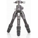 BENRO TRIPODE KIT TORTOISE 03C CARBON + BALL JOINT GX25