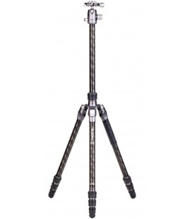 BENRO KIT TRIPOD RHINO 14C CARBON + BALL JOINT VX20