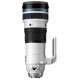 OLYMPUS 150-400mm ED f4.5 TC1.25x IS PRO M.Zuiko
