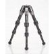 BENRO TRIPODE TORTUE 03C CARBONE