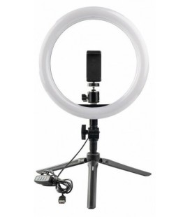 KIT DORR VLOGGING VL-26