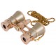 LEVENHUK BROADWAY 325 F OPERBRILLE MIT LED UND KETTE