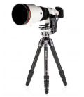 BENRO TRIPODE KIT TORTOISE 35CLV + GIMBALL GH2F