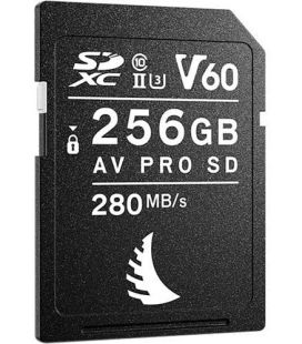 ANGELBIRD TARJETA AV PRO SD MK2 256GB V60