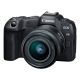 Comprar canon eos r8 + rf 24-50 f4 5-6,3 is stm en Dukefotografia