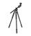 VANGUARD TRIPODE DE CARBONO VEO 3 + 303CBS