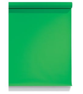 Fond Supérieur 333 2.75X11 Stinger (A-54) Chroma Vert