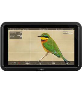 ATOMOS SHINOBI II MONITOR