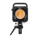 ZHIYUN LUZ DE LED COB MOLUS G300