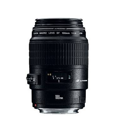 CANON EF 100mm f/2.8 MACRO USM 