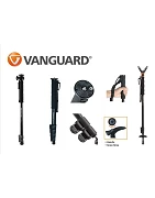Vanguard Monopies