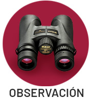 observacion